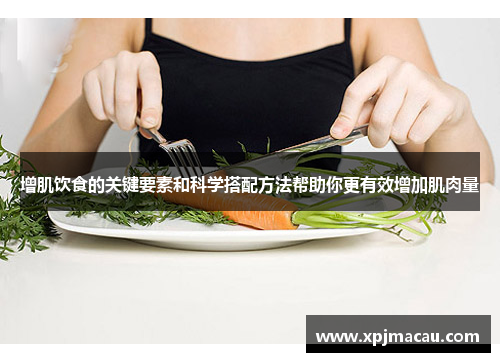 增肌饮食的关键要素和科学搭配方法帮助你更有效增加肌肉量